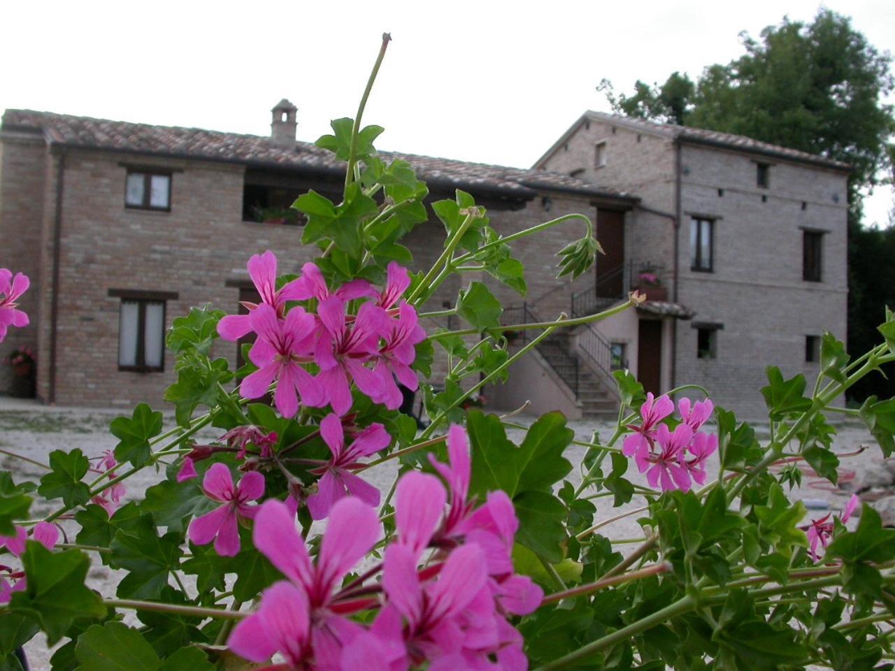 Antica Dimora Konuk evi Sarnano Dış mekan fotoğraf