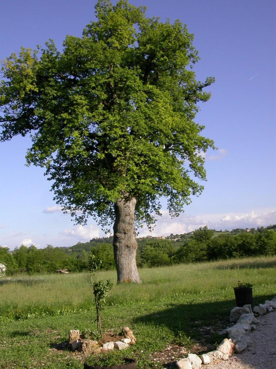 Antica Dimora Konuk evi Sarnano Dış mekan fotoğraf