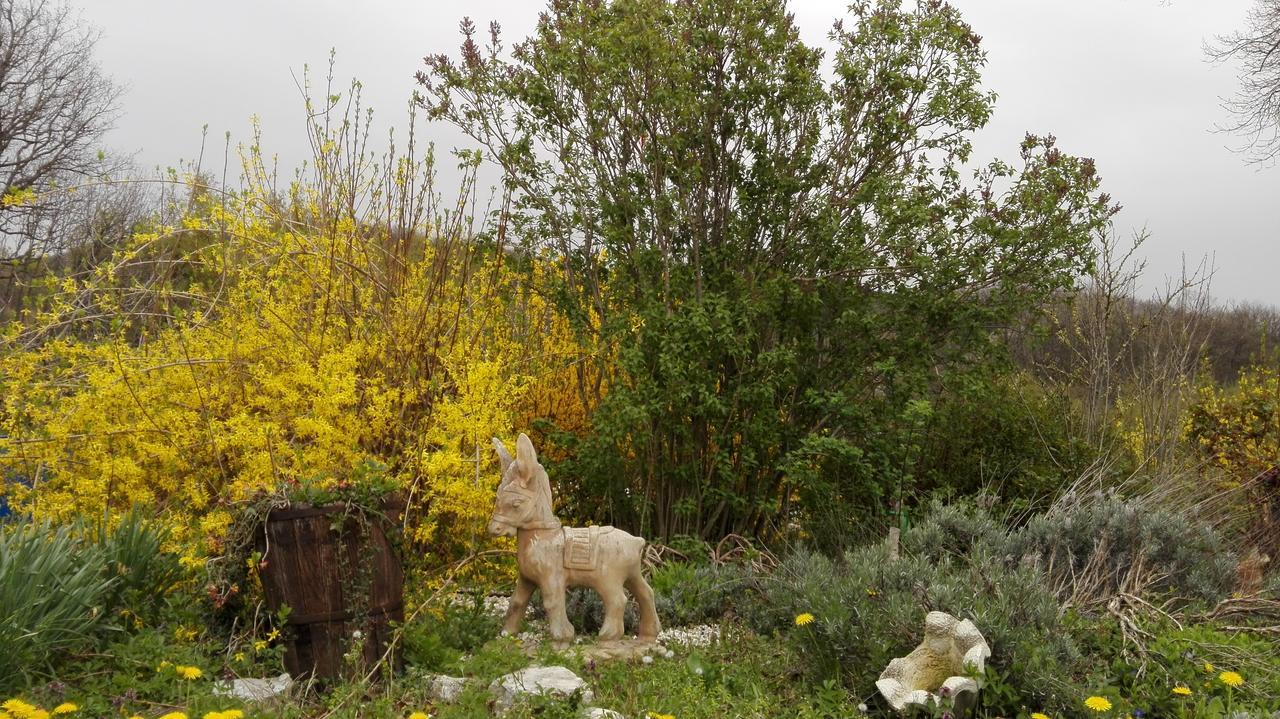 Antica Dimora Konuk evi Sarnano Dış mekan fotoğraf